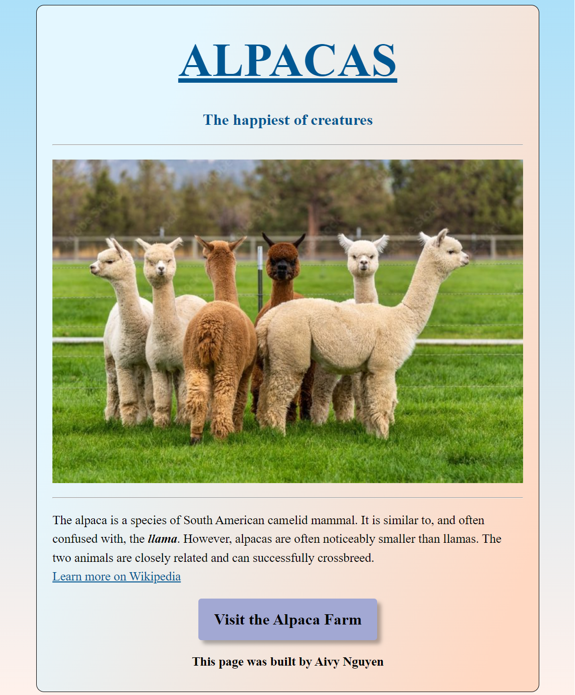 Alpaca project